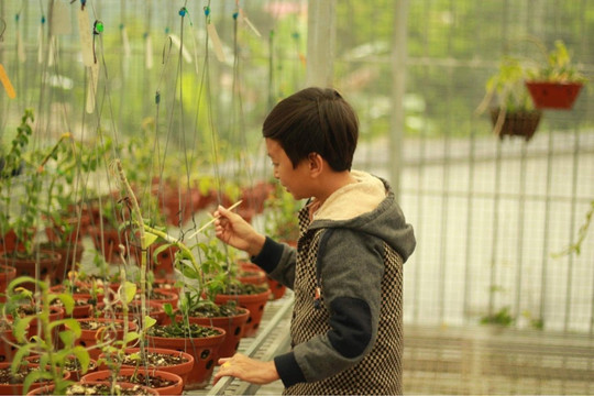 Mạnh Đinh: Chàng trai trẻ tìm hướng làm giàu từ mô hình trồng hoa phong lan