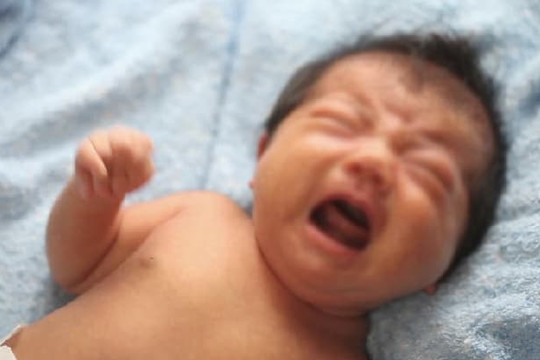 Cặp đôi nhét bé sơ sinh 4 tháng tuổi vào ngăn đá tủ lạnh vì khóc quá ồn