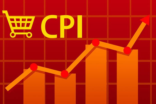Chỉ số CPI tháng 11/2020 tăng 1,48% so với cùng kỳ năm ngoái
