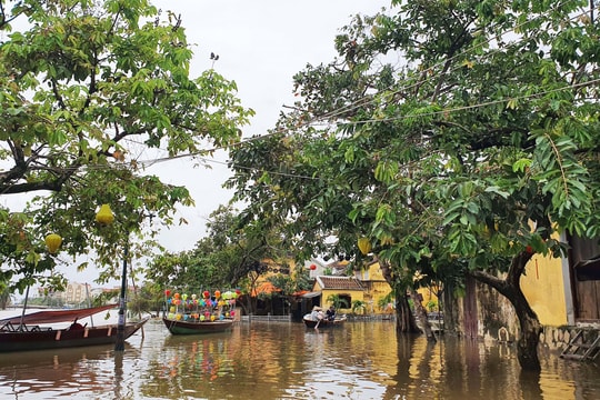 Sau những ngày mưa lớn, phố cổ Hội An lại chìm trong biển nước