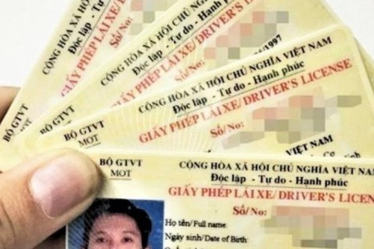 Cảnh báo trang web giả mạo tra cứu thông tin giấy phép lái xe