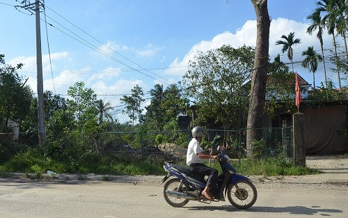 24 năm sống chung bên “mạng nhện điện”
