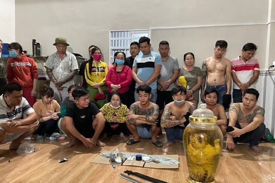 Phá sới bạc, phát hiện bình rượu ngâm nguyên một con hổ