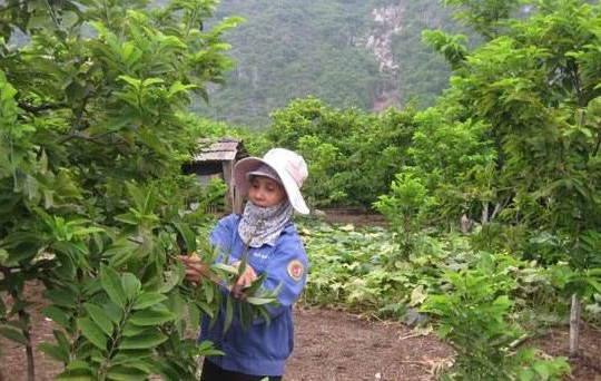 Võ Nhai- Thái Nguyên: Nỗ lực hoàn thiện các tiêu chí hoàn thiện nông thôn mới