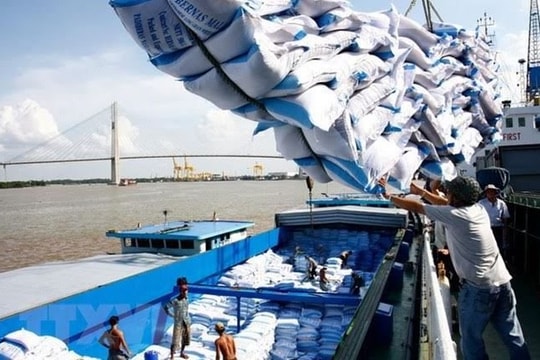 Tổng cục Hải quan thông tin về việc tờ khai xuất khẩu gạo mở vào “giờ hiểm” 
