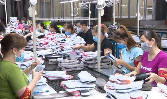 Tổng cục hải quan gỡ khó cho doanh nghiệp về mã số mã vạch 