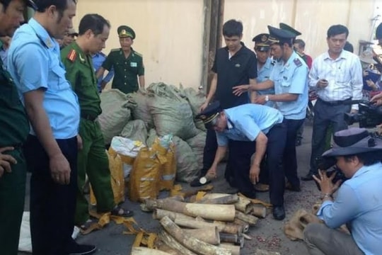 Tổng cục Hải quan tăng cường công tác chống buôn lậu, vận chuyển trái phép động vật qua biên giới  