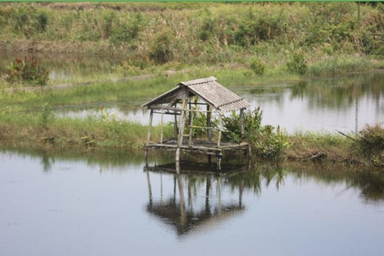 Điều tra nguyên nhân đôi nam nữ tử vong trong lều trông cá