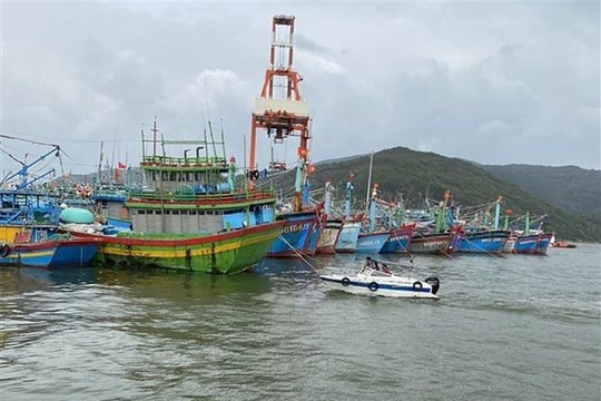 Diễn đàn Biển ASEAN - Khuôn khổ hữu hiệu thúc đẩy hợp tác biển khu vực