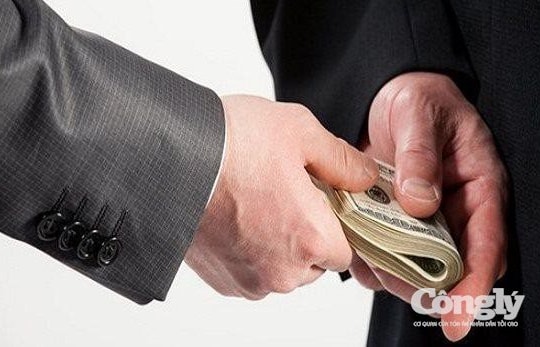 Cựu Giám đốc Công ty CIPC bị truy tố tội Tham ô tài sản