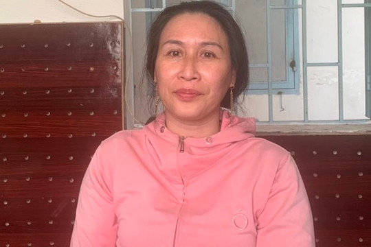Khởi tố, bắt tạm giam Lê Thị Bình