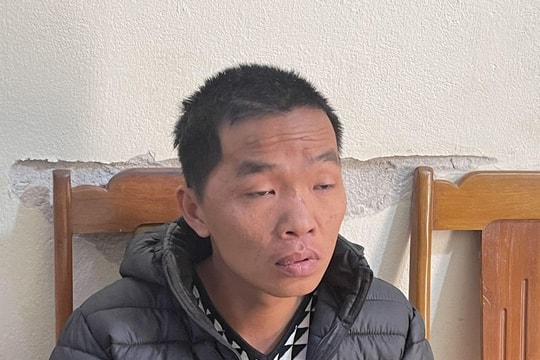 Đòi bán nhà không được, thanh niên rút gậy sắt hành hung mẹ đẻ