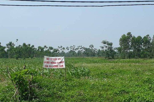 Sắp thí điểm nhiều chính sách trong quản lý, sử dụng đất quốc phòng, an ninh
