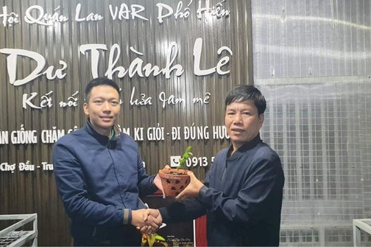 Lê Thành Dư: Xây dựng cơ nghiệp từ hoa phong lan