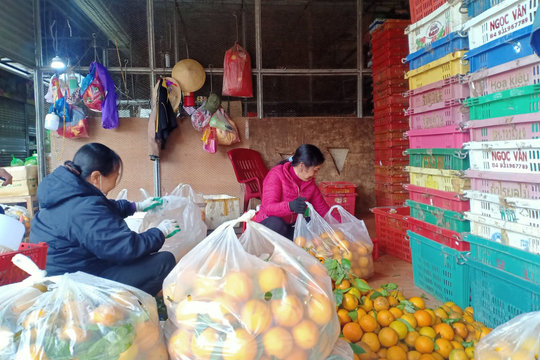 Chưa cần thiết quy hoạch thêm chợ đầu mối phía Bắc TP Thanh Hóa