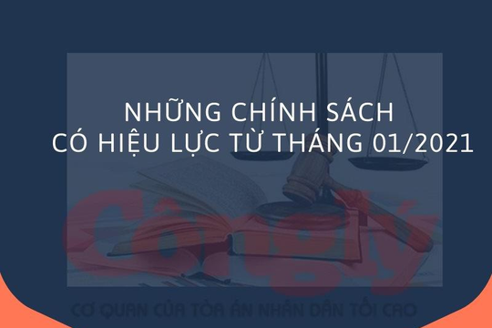 Infographic: Những chính sách có hiệu lực từ tháng 01/2021