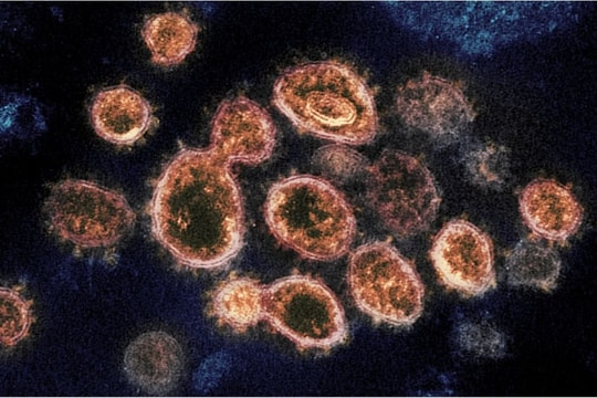 Biến thể virus SARS-CoV-2 tại Anh gần như đã lan ra toàn thế giới