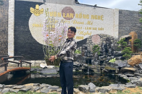 Đàm Rồng Nghệ nói về những thương vụ mua bán lan đột biến tiền tỷ