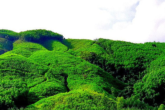 Ứng xử trách nhiệm với thiên nhiên