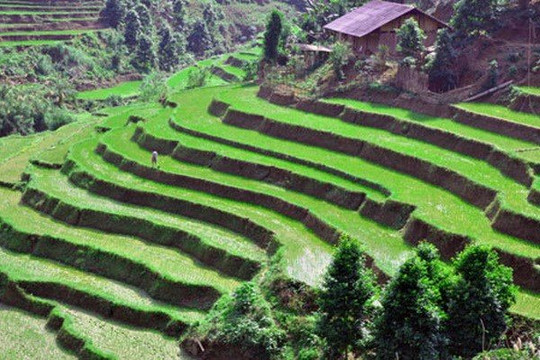 Tiềm năng phát triển du lịch ở huyện vùng cao Pác Nặm