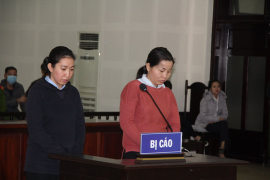 Tổng giám đốc bán 302 lô đất “ma”, chiếm đoạt hơn 103 tỷ đồng
