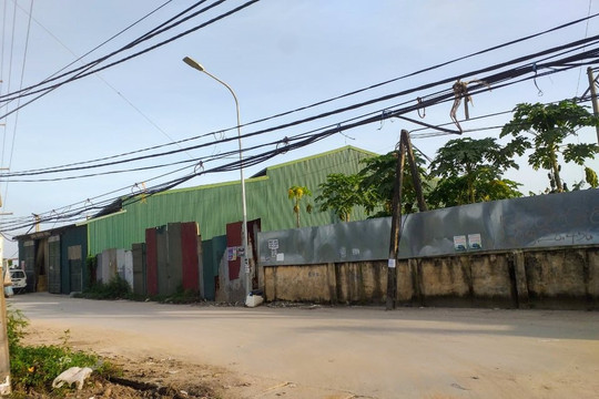 Thanh Oai (TP Hà Nội): Chủ tịch UBND huyện có phải chịu trách nhiệm trước những sai phạm về đất đai?