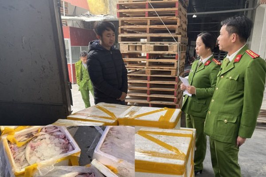 Bắt giữ xe tải vận chuyển 250kg cá khoai ướp phoóc môn 