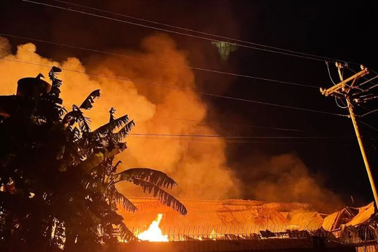 Công ty gỗ chìm trong biển lửa
