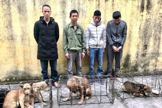 Bắn đạn hơi cay khống chế nhóm  “cẩu tặc” ôm kiếm cố thủ