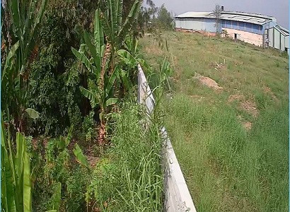 Lùm xùm vụ trưng dụng đất người dân tại Đồng Tháp: Bất thường quyết định không số