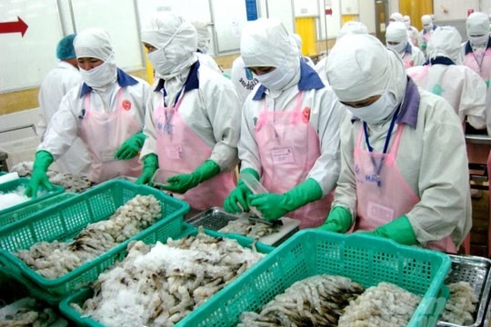 Trung Quốc tăng cường quản lý hoạt động nhập khẩu với thực phẩm đông lạnh