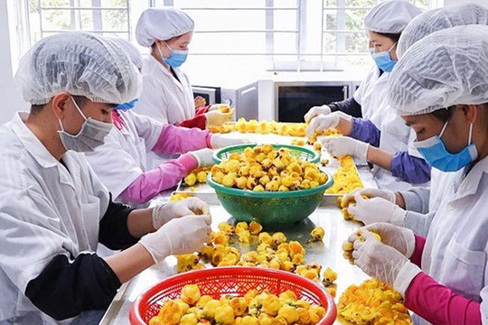 Không để thiếu hàng, sốt giá trước và sau Tết