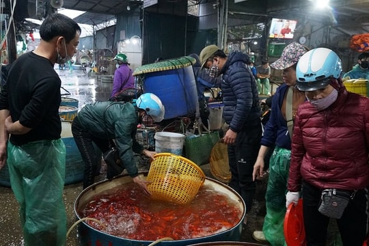 Tấp nập chợ cá trước ngày tiễn ông Công ông Táo