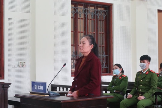 Chiếm đoạt xe ô tô của con nuôi để buôn ma túy
