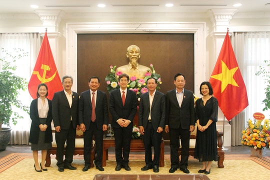 Chuyên gia Koica chúc Tết lãnh đạo TANDTC