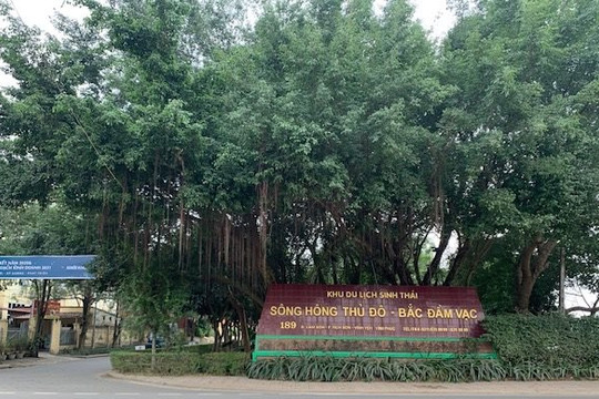 Hộ dân bị cắt điện, nước ngày cận Tết: Công ty Sông Hồng Thủ Đô giải quyết có tình, có lý