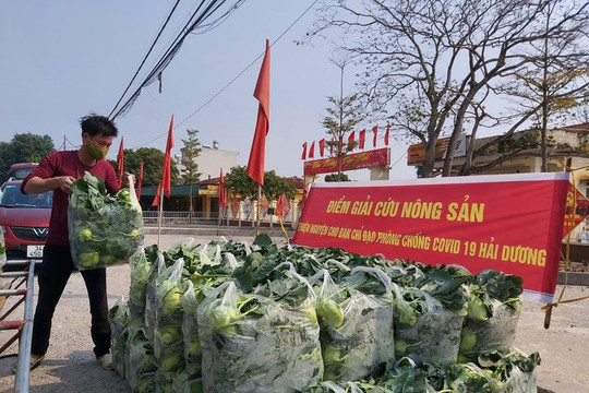 Nông sản Hải Dương đang rất cần "giải cứu"
