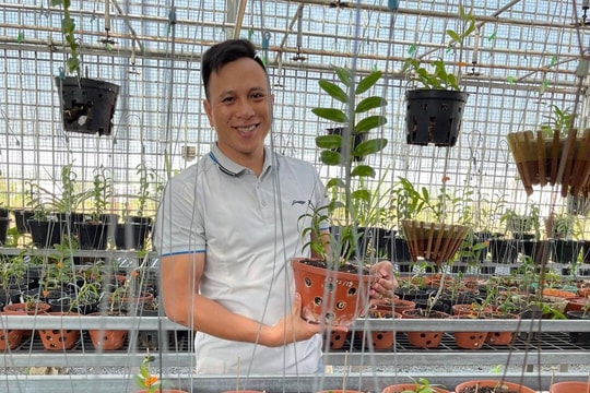 Ông chủ vườn lan Hạo Hạo và câu chuyện khởi nghiệp từ lan đột biến