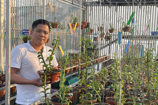 Ông chủ vườn lan Diệp Minh Tuyền: ‘Tay ngang’ lại thành công sớm