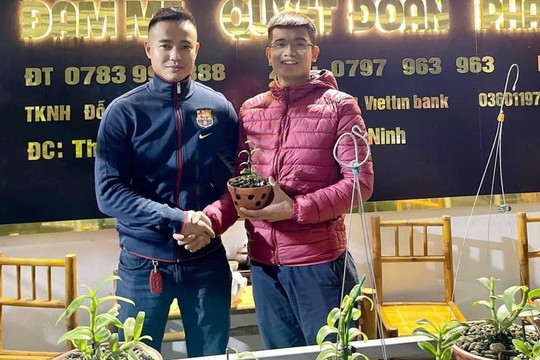 Nghệ nhân Đỗ Việt Đức sở hữu nhiều giống lan đột biến