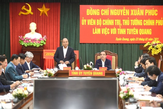 Tuyên Quang phải trở thành cứ điểm quan trọng của ngành gỗ Việt Nam và khu vực