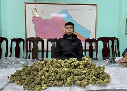 Vận chuyển ma túy bằng đường chuyển phát nhanh