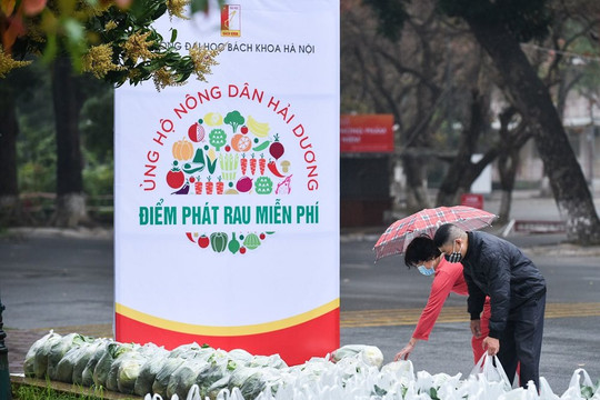 Sinh viên, giảng viên ĐH Bách khoa Hà Nội đội mưa giải cứu hơn 10 tấn nông sản cho Hải Dương