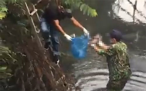 Quảng Ninh: Phát hiện thi thể trẻ sơ sinh còn nguyên dây rốn bên bờ suối