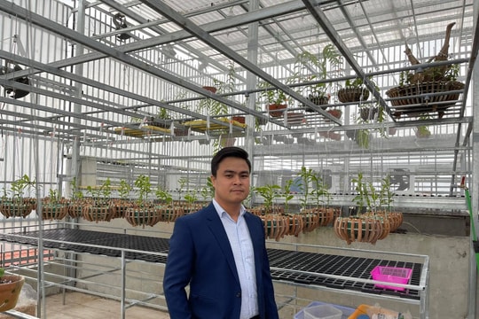 Nghệ nhân Alex Nguyễn lý giải về sự sôi động của thị trường lan đột biến