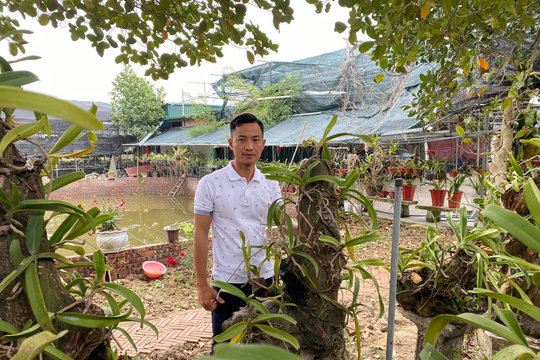 Câu chuyện đi từ thất bại đến thành công của ông chủ vườn lan Sỹ Trần