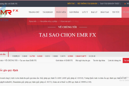 Cảnh báo rủi ro khi đầu tư, kinh doanh tiền ảo bất hợp pháp