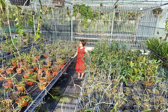 Bà chủ vườn lan Thu Thanh, người phụ nữ đặc biệt trong giới chơi lan