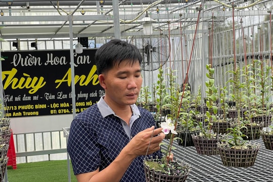 Nghệ nhân Trương Tuấn Anh - Người lai tạo lan đột biến thành công