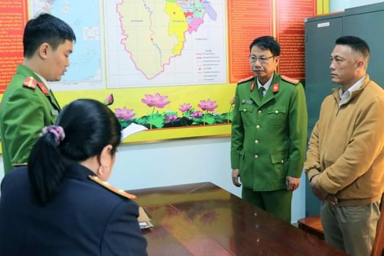 Khởi tố Trạm trưởng Trạm quản lý bảo vệ rừng vì để mất số lượng cây gỗ lớn